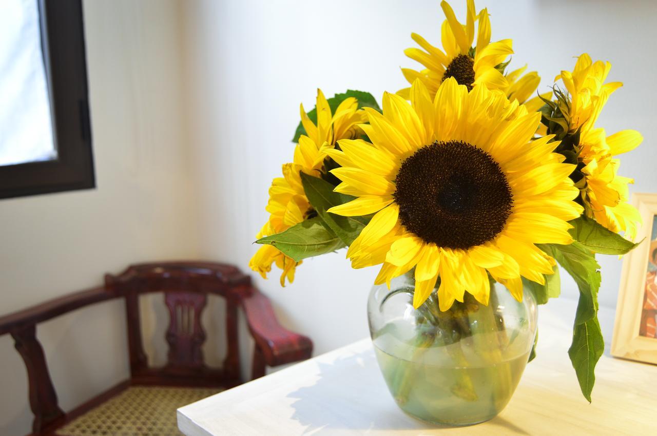 Casa Girasol Bed & Breakfast Antigua Екстериор снимка